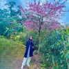 ying_1998_