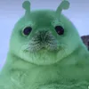 notacommonerr