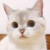 zroo_3