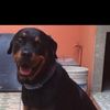 user5295020718636