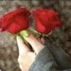 أبلة شمس💛