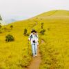 solotrip.vibes
