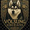 volsungsibes
