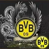 bvb803