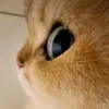 _.5.67._8