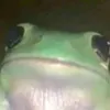 sennikarja