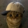 username220205_