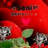 oydinaripova314gmail.com