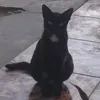 aufatriainafaras0