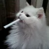 leticiadiezz