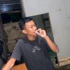dandarian0
