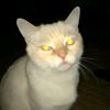 christyzer_0505