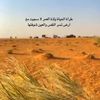 umabdullah631