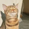 uuiiuuaapingpeng