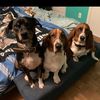 thebubbies09