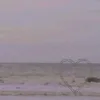 nor_4681