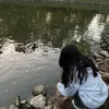 xcoouo