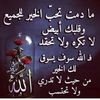 fatimaalghamdi37