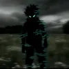 pov_po2
