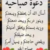 user3231576307367