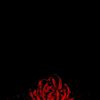 drylight