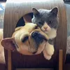 miameo.pugbeo