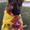 mariluz_sm99
