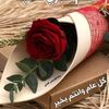 zainmohamed8251