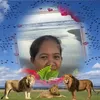 jocelyn.panangana