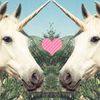 wwebelieveinunicorns