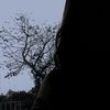 ryla_247