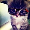 kiyaaaaaaaaaawww