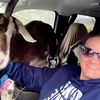 goatsanddirtbikes