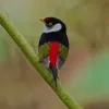jilcileneaelo