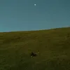 pica.aka.hn_