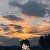 lee_dika1