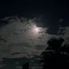 em_cua_ngay_xua_chet_roi