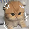 jimeia_ess