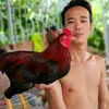 phunguyen0901616495