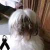 user5345513417050