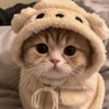 sasqia_20
