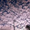 arfa_945