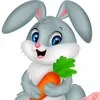 ♡🥕𝒌𝒂𝒓𝒘𝒆𝒔𝒉𝒌🐇♡