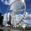 belgique100000000