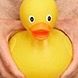tylerseguinsduck