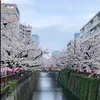 ericklbrt