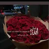 user6215608487879