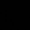 nothisidiot