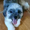 furlove20