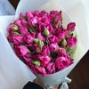 fatimaalharbi82